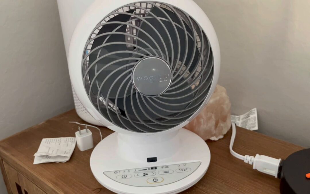 IRIS WOOZOO Oscillating Fan